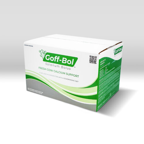 Goff-Bol Solanum Bolus